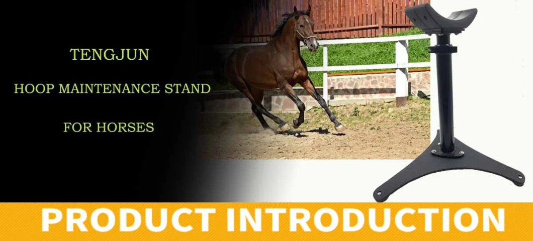 Q235 Carbon Steel Powder Coated Surface Treatment Hoof Maintenence Stand for Horses Farm