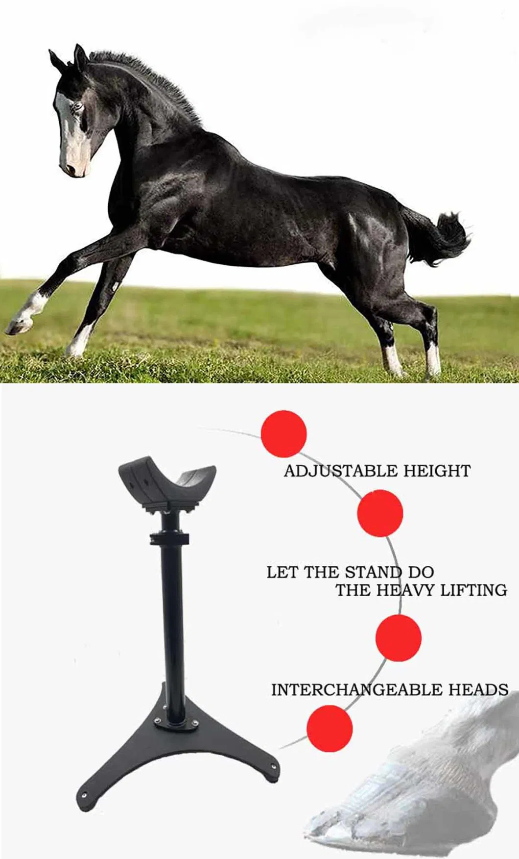 Q235 Steel Coated Powder Surface Treatment Hoof Maintenence Stand for Horses Farm